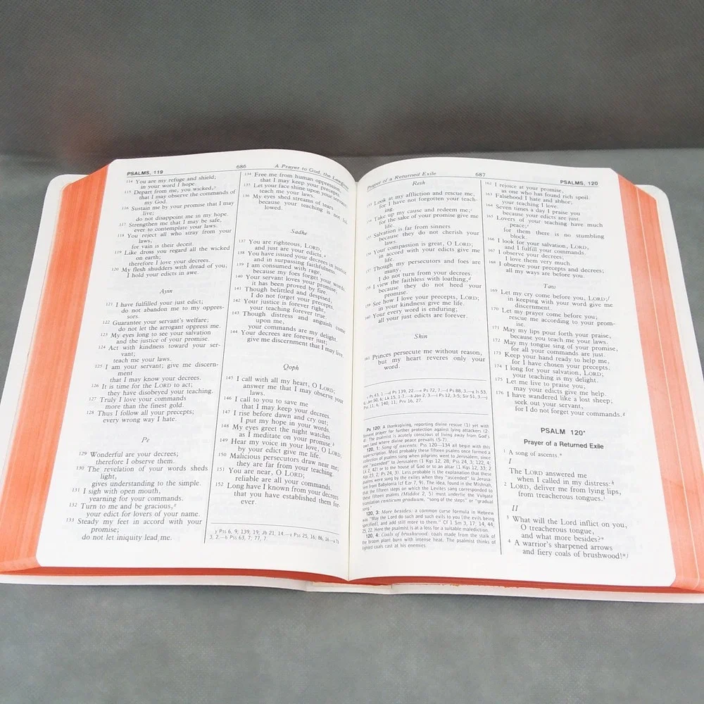 Saint Joseph Edition New American Bible Revised Psalms Large Type‎ Illustrated